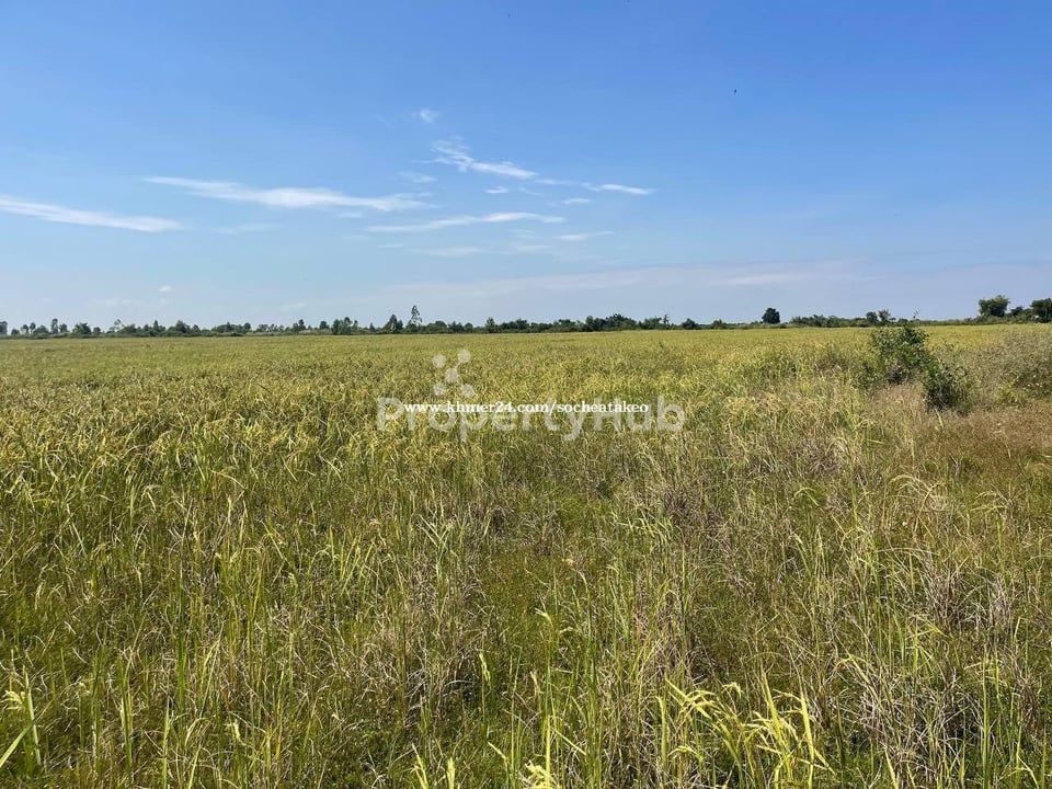 រូបភាពអចលនទ្រព្យទី 2