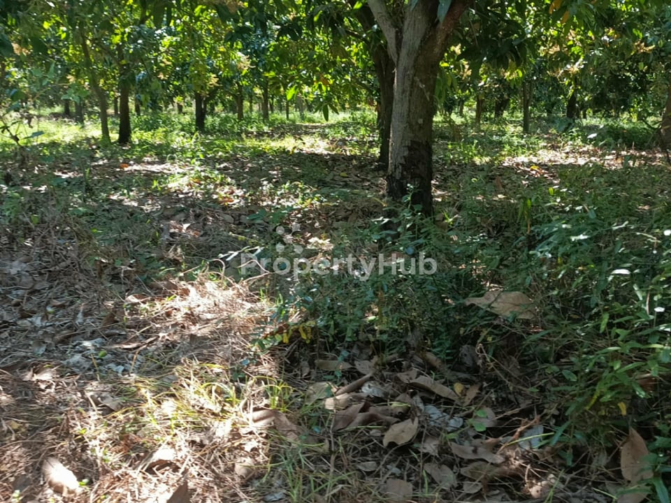 Property 2