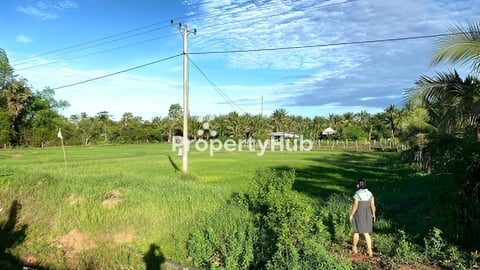 ដីលក់តម្លៃក្រោមទីផ្សារ