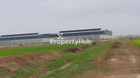 ដីស្រែលក់បន្ទាន់ ក្បែររោងចក្រ