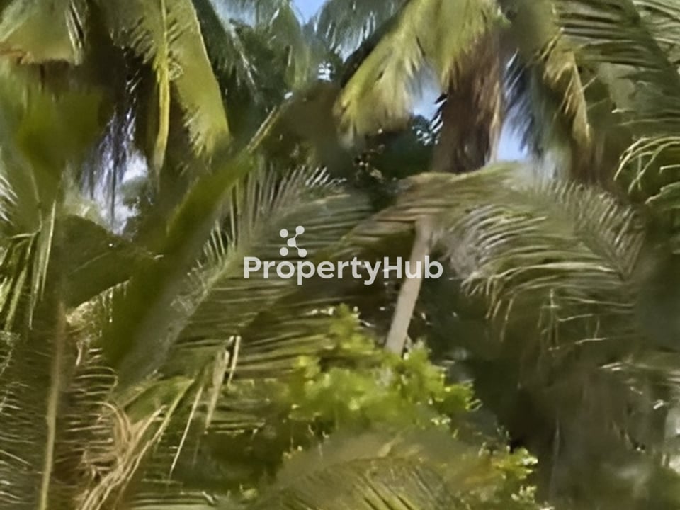 Property 4