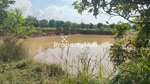 ដីចម្ការស្វាយលក់បន្ទាន់