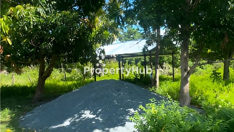 ដី​លក់​ 12,500 25x69 ចុះ​ពី​ផ្លូវ​ជាតិ​លេខ​៤​ ត្រង់​ភូមិ​បាល​ស្រុក​ភ្នំ​ស្រួច​