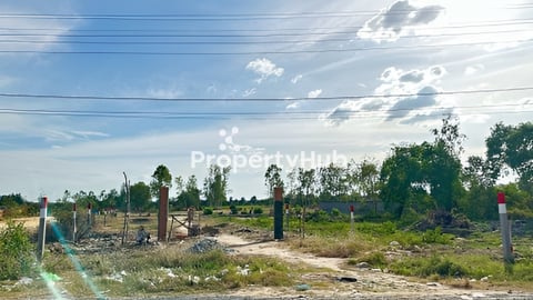 ដីលក់ជិតផ្សារចំបក់ បាទី តាកែវ