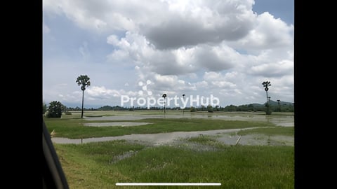 ដីប្លង់រឹង ជាប់ទំនប់ទឹកក្នុងក្រុង ជិតរង្វង់មូលសេះស