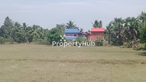 ដីត្រូវកាលក់តំលៃចចារ