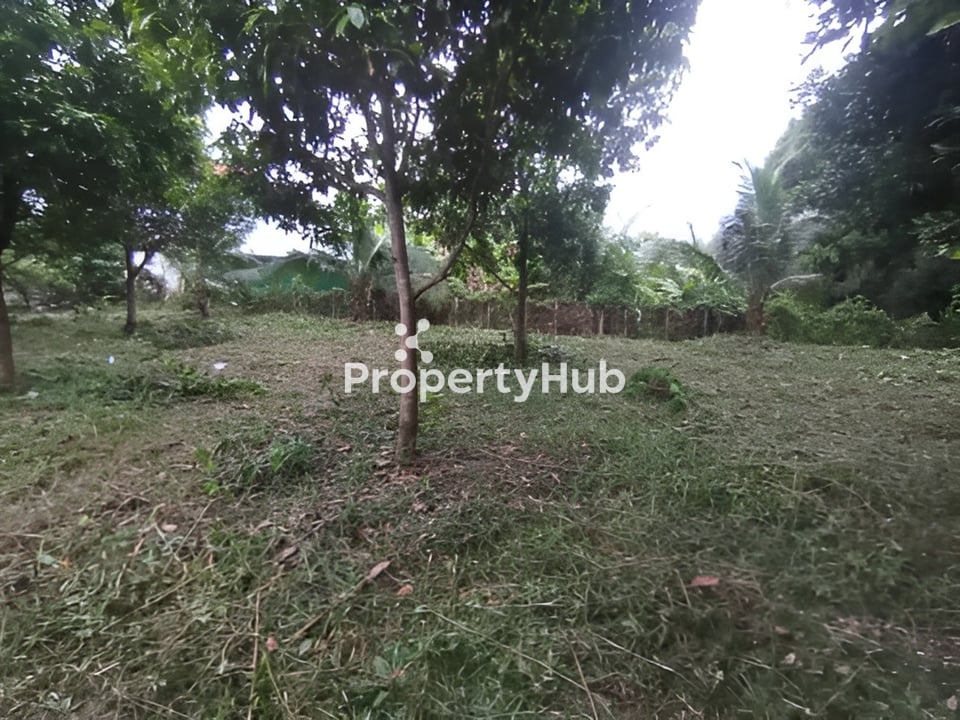 Property 4
