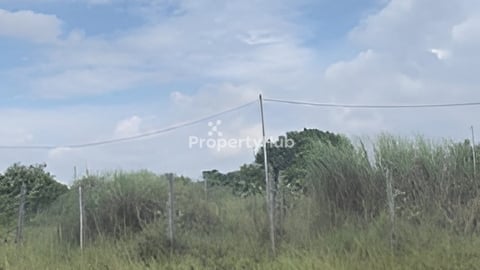 ជាប់គំរោងស្ពានភ្នំពេញ>ក្រុងអរុីក្សត្រ័