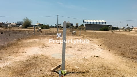 ដីលក់បន្ទាន់!