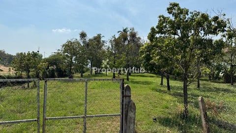ដីជាប់មាត់ទន្លេរលក់បន្ទាន់ក្រុងអរិយក្សត្រ​ទំហំ​​​3964m2