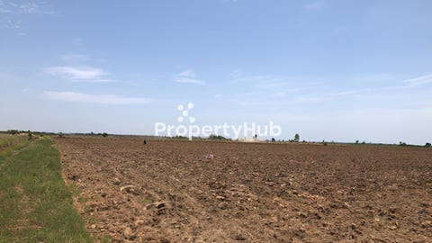 ដីសម្រាប់ធ្វើស្រែ ចំការ លក់បន្ទាន់ 4 ហិចតា