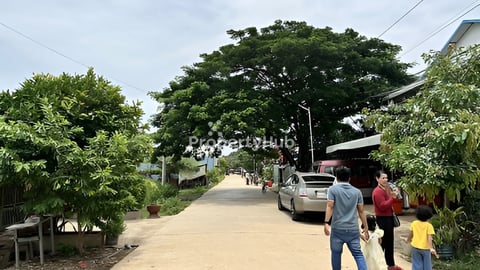 ដីលក់បន្ទាន់