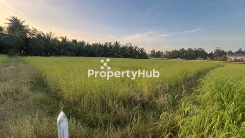 ដីលក់បន្ទាន់ ស្រុកឈូក ខេត្តកំពត