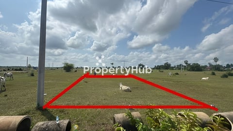 ត្រពាំងអង្គ្រង (ដីលក់បន្ទាន់)