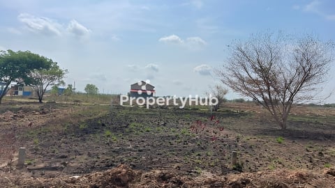 ដីលក់បន្ទាន់ខ្លាំង លក់គុនលុយ (បង្កាន់ដៃប្លង់រឹង) តំលៃពីមុន $9500