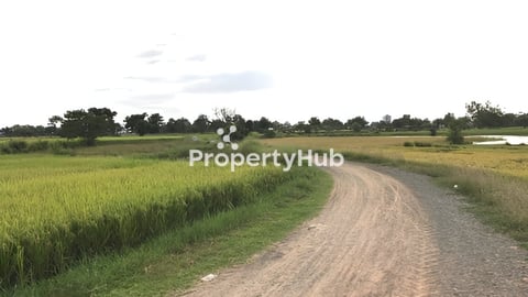 ដីក្បែរព្រលានយន្តហោះភ្នំពេញថ្មី  លក់បន្ទាន់ខ្លាំង-1755m2