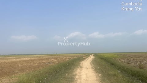 034: ដីក្រាំងយ៉ូវ 3.2 ha លក់បន្ទាន់