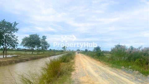 ដីលក់នៅក្បែរមហាវិថី Xi JinPing 200ម៉ែត្រ