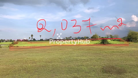 ដីស្រែសំរាប់លក់ ធូរៗក្រោមទីផ្សារ