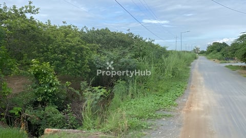 ដីចំការមៀនកោះក្របី»»»ម្ចាស់ផ្ទាល់