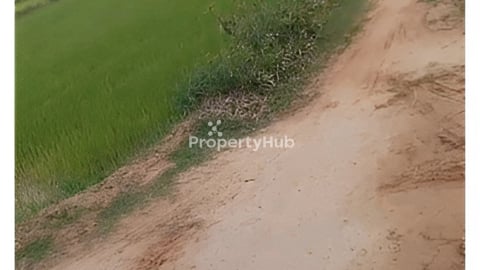 ដីលក់ស្រុកបាទីភាគខាងត្បូងប្រលានយន្តថ្មី