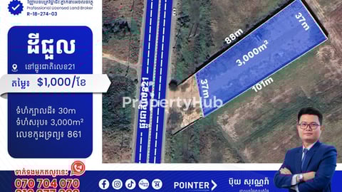 ដីជួលនៅលើផ្លូវជាតិលេខ21