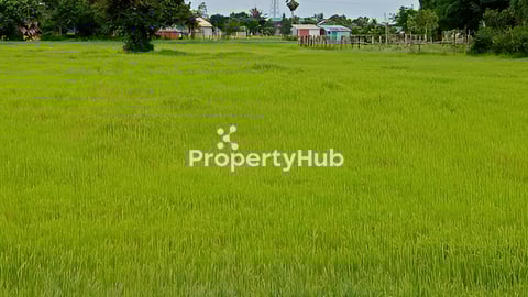 ដីលក់ទំហំ 3817m លក់តំលៃ 24$/m2