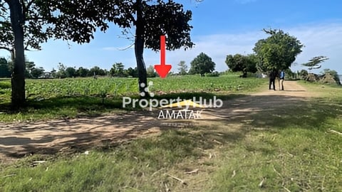 ដី លក់បន្ទាន់ ក្នុងតំលៃល្អខ្លាំង នៅស្រុកកៀនស្វាយ ខេត្តកណ្តាល