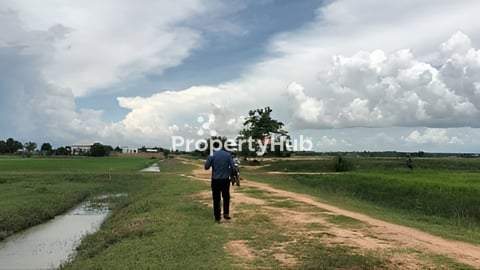 Land for slaw very urgent