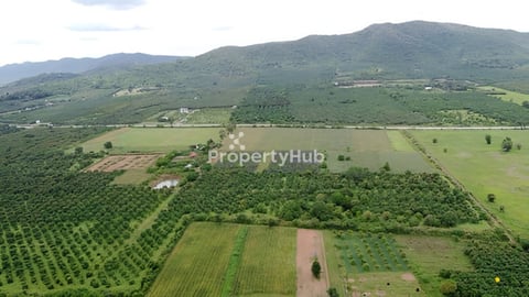 ដីលក់បន្ទាន់ជាប់ផ្លូវ1335ហេីយជាប់ជេីងភ្នំ