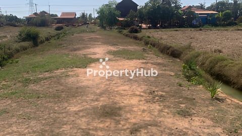 ប្លង់រឹង