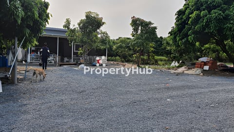 ចំការតាងែនស្វាយនិងចេកលើផ្លូវធំ ច្រកអន្តរជាតិសំពៅលូន។