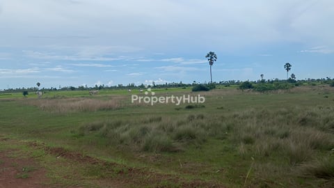 ដីទិញសាងសង់រោងចក្រ ឬ ធ្វើចម្កាលំហែ មានស្រះទឹកស្រាប់