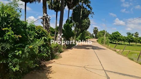 ដី 39ហិចតា លក់នៅក្រុងអរិយក្សត្រ