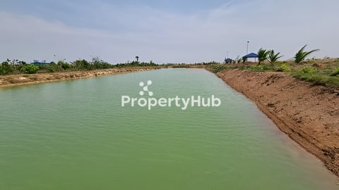 លក់ដីបន្ទាន់ ចំការក្នុងភូមិ