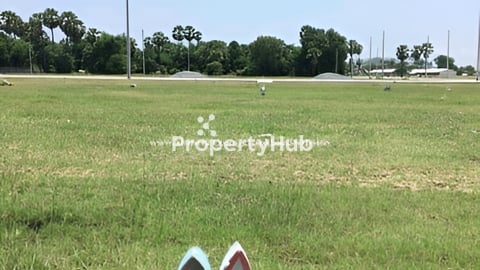 ដីប្លង់រឹង