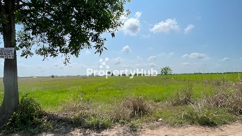 ដីលក់តម្លៃទន់ៗ