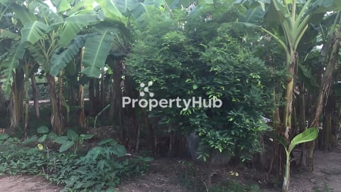 Land at Srey Santhor for sale in urgent