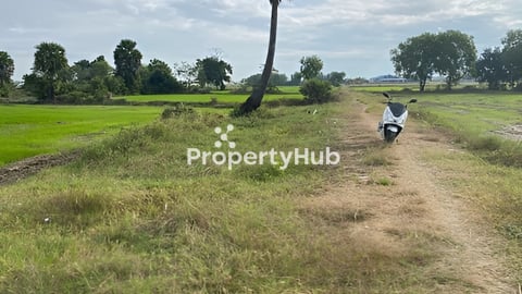 ដីស្រុកបាទី ក្បែរផ្សារសំរ៉ោងយ៉ោង