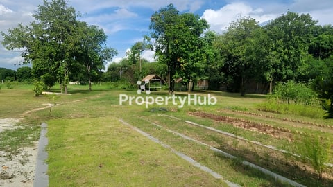 ដីលក់បន្ទាន់