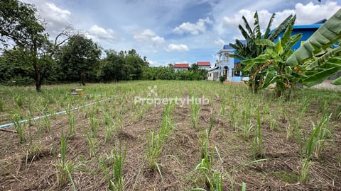 ដីលក់បន្ទាន់ 17m x 30m អរិយក្សត្រ