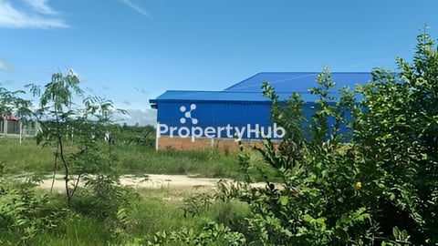 ដីជួល (ផ្លង់រឹង)