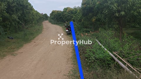 ដីចម្ការស្វាយជាប់មាត់ព្រែកធំ