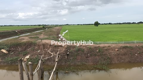 ដី ម្ចាស់ផ្ទាល់លក់