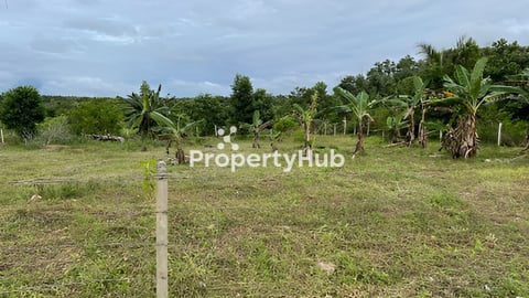 ដី​សំរាប់​លក់​ ប្រញាប់​លុយ