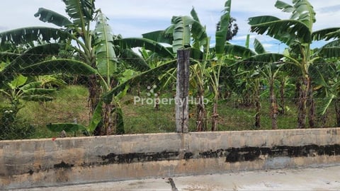 ដីលក់ស្វាយជ្រុំ 12m x 43m