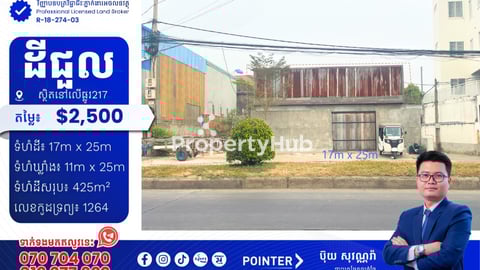 ដីជួលនៅលើផ្លូវ217