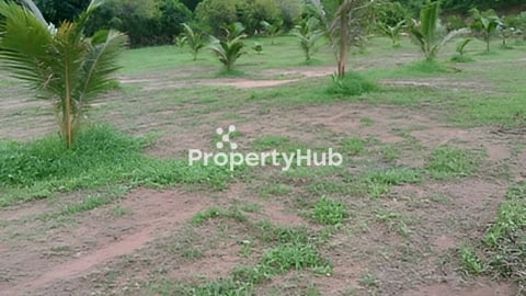 ដីលក់ជាប់ជើងភ្នំនៅតំបន់រមណីយដ្ឋានទឹកម្លេច