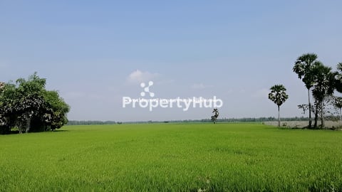 ដីលក់នៅតាកែវ