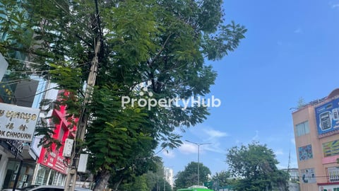 Excellent Shophouse for Sale on Street 271